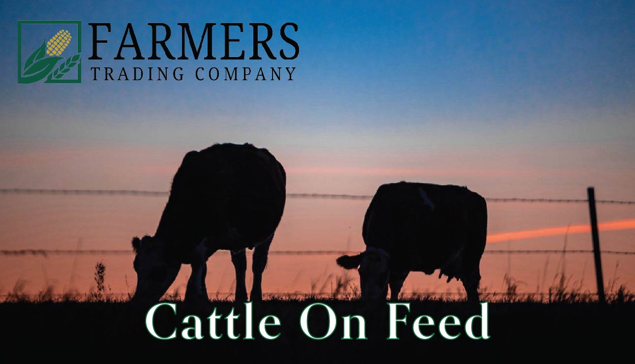 March Cattle On Feed Report