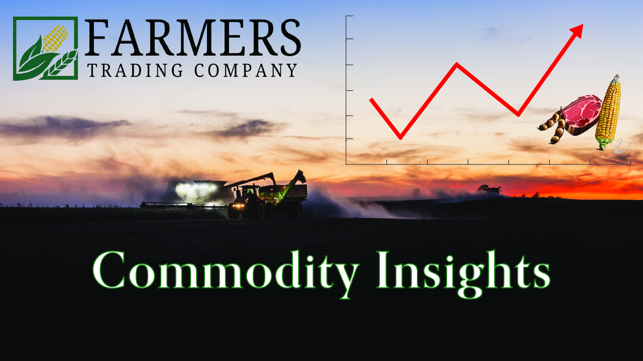 Is the Grain Market Rally Over?